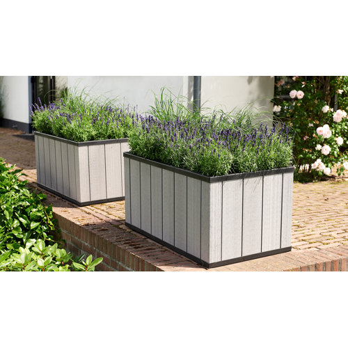 Keter Sequoia Self Watering Resin Planter Box & Reviews Wayfair